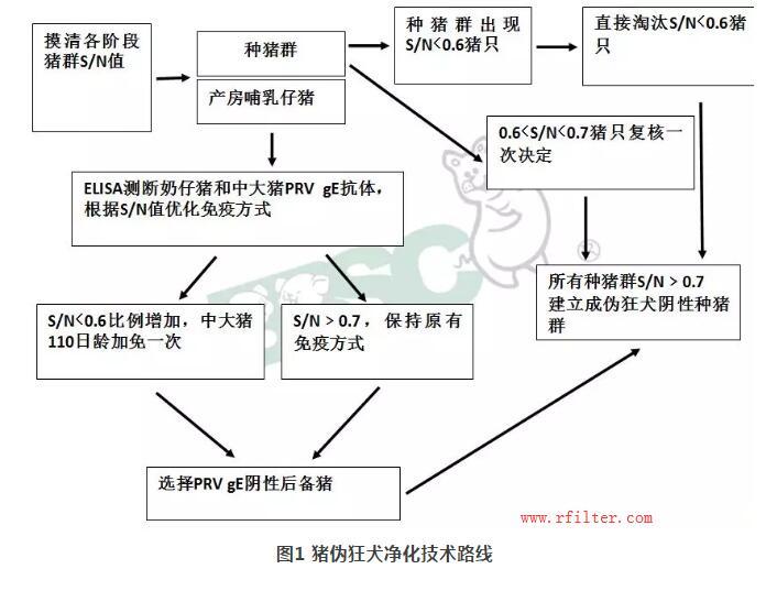 規(guī)模豬場(chǎng)如何凈化控制疫?。靠諝膺^(guò)濾系統(tǒng)如何阻擋藍(lán)耳病毒株呢？